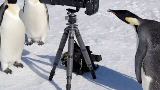 【#1450 畜ペンに次いでこちらも】