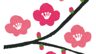 【#1490 梅もぼちぼち】