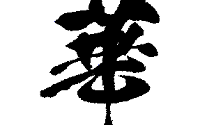 【#1485　花が華に】