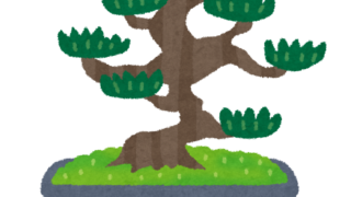 【#1497 大きな松の木の下で】