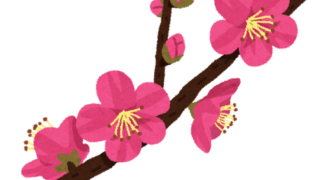 【#1499 梅本番】